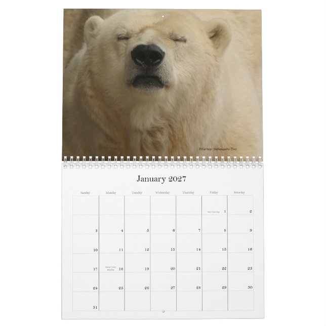 Animais em uma cidade populoso - calendário (Jan 2027)