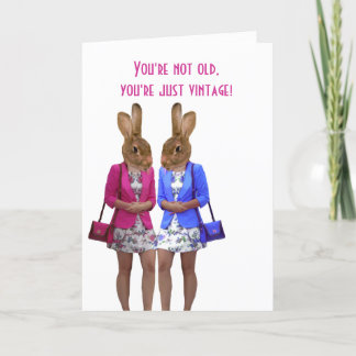 Animais engraçados ganhando cartão de aniversário