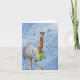 Animais Feriados Incomuns: Cartão Ostrich 4"x5.6"
