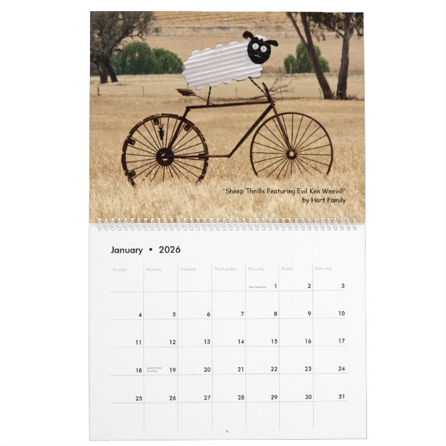Animais no calendário das bicicletas 2013 (Jan 2026)