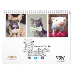 Animais no calendário dos laços 2015