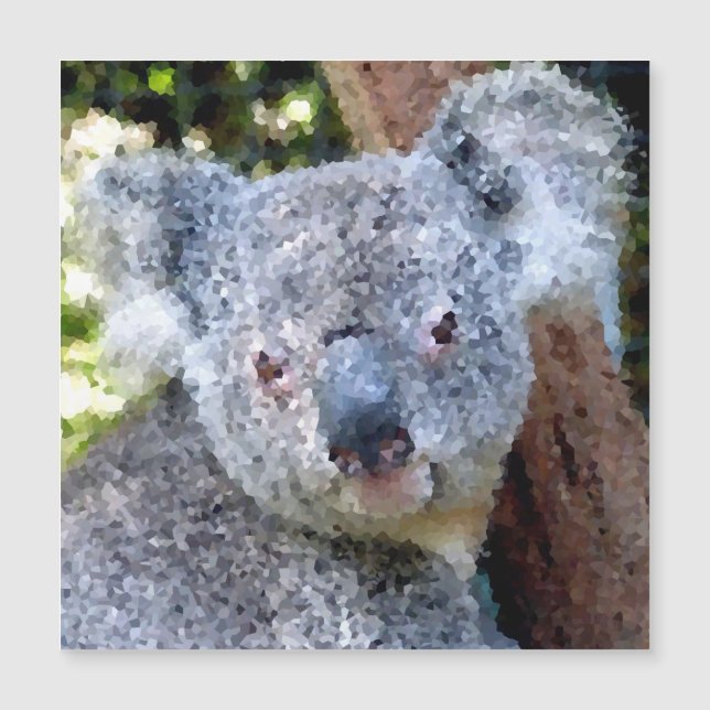 Animais Poli - Koala (Frente)