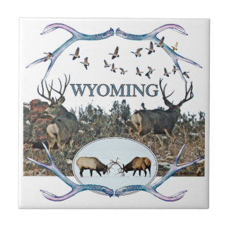 Animais selvagens de WYOMING