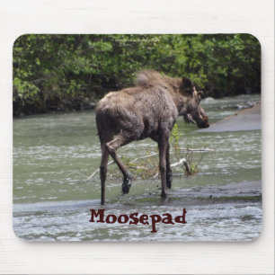 Animais selvagens engraçados Mousepad dos alces