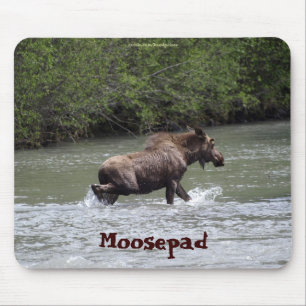 Animais selvagens engraçados Mousepad dos alces
