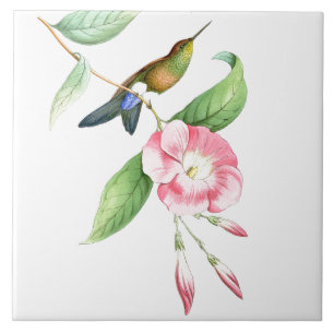 Animais selvagens florais dos animais das flores