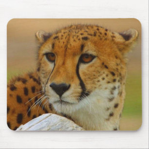 Animais selvagens Mousepad da cara da chita