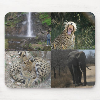Animais selvagens Mousepad de África