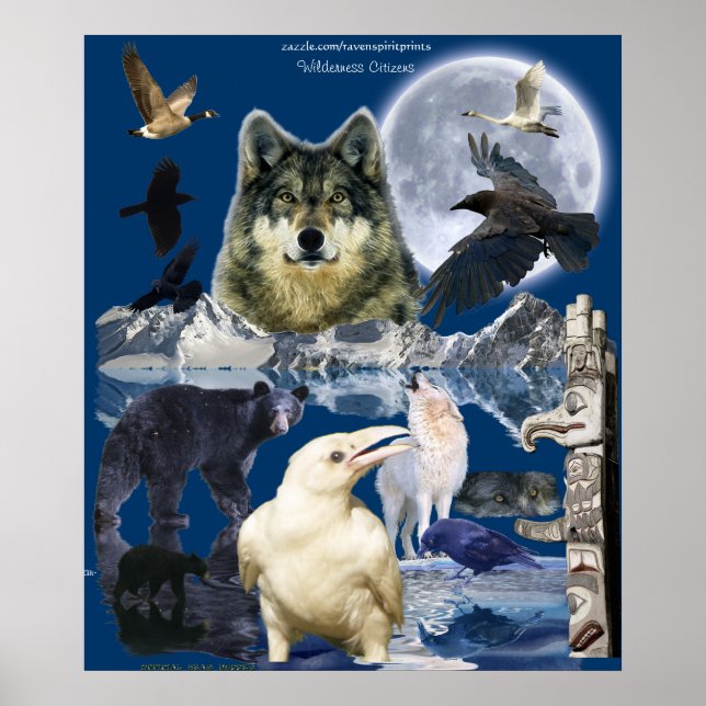 ANIMAIS SELVAGENS Poster (Frente)