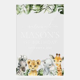 Animais Selvagens, Safari, Selvagem Um, Aniversári