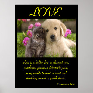 Animal 1 dos posters do AMOR