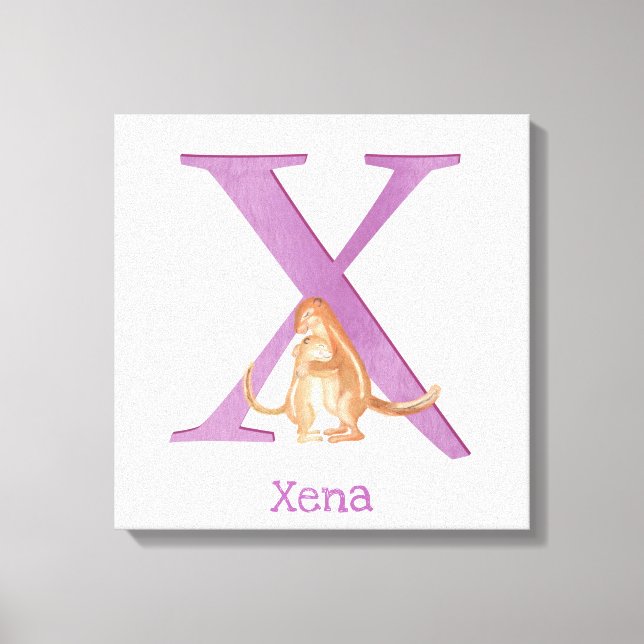 Animal ABC X é para impressão de tela de desenho (Frente)