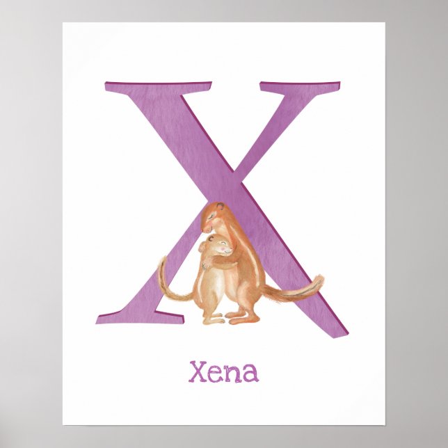 Animal ABC X é para xerus impressão (Frente)