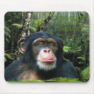 Animal-apoio Mousepad do chimpanzé & da floresta