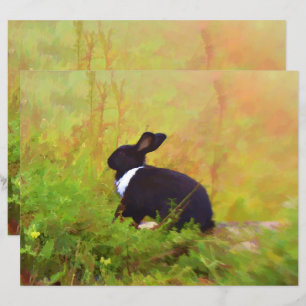Animal da Floresta Negra Verde do Coelho da Pásco