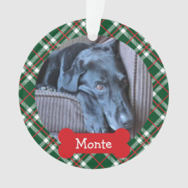 Animal de estimação 2 da xadrez do ornamento do