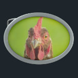Animal de fazenda engraçado da galinha<br><div class="desc">Foto engraçada do retrato de uma galinha contra um fundo verde.</div>