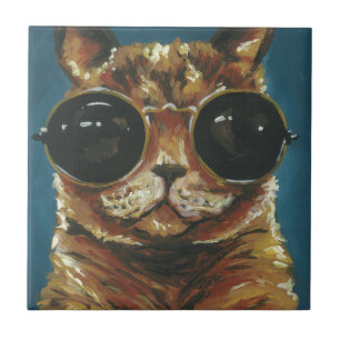 Animal Gatinho De Óculos De Sol