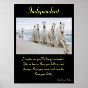 Animal independente 17 dos posters