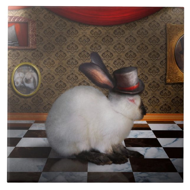Animal - o coelho (Frente)