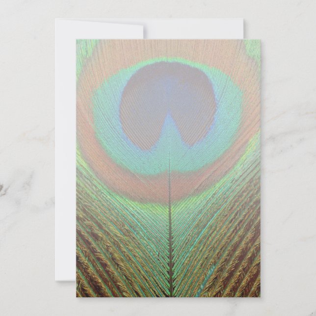 Animal - Pássaro - Peste Pavão (Frente)