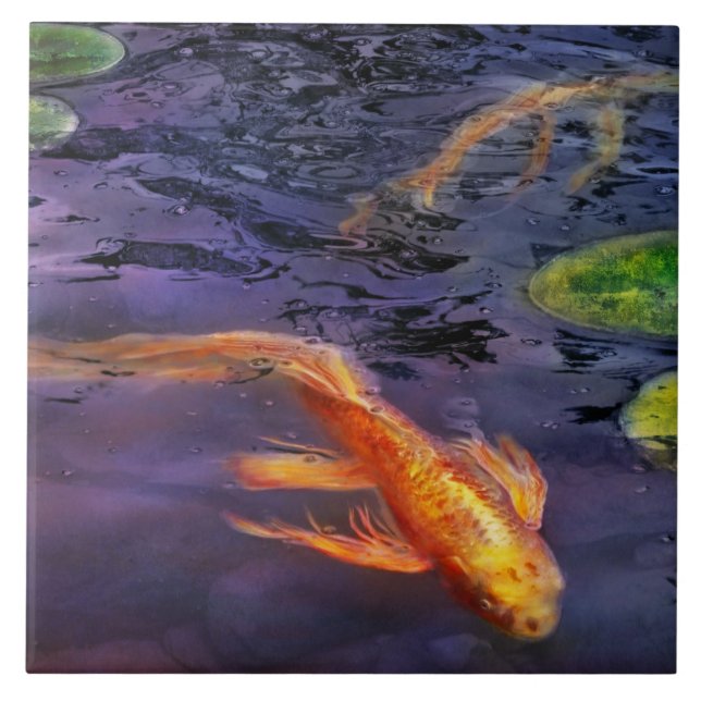 Animal - Peixe - Tem algo sobre carpas (Frente)
