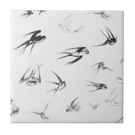 Animal retro da natureza do pássaro da andorinha