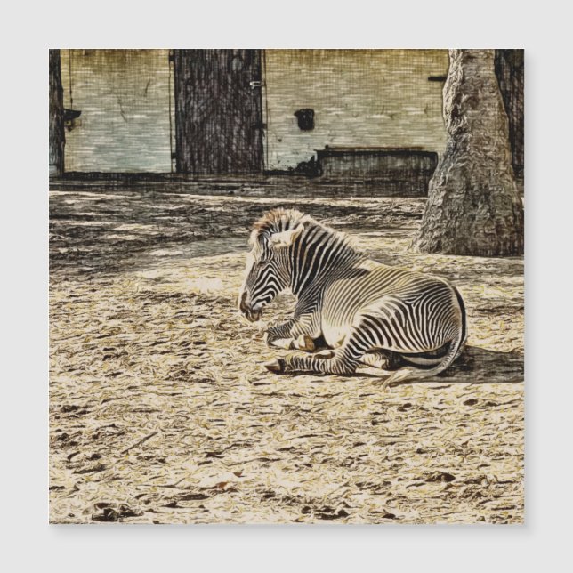 animal smartmix - zebra (Frente)