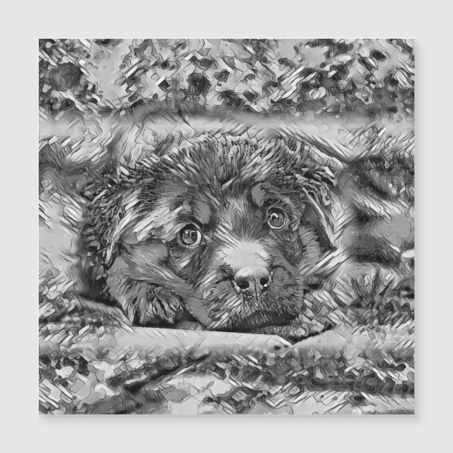 AnimalArtBW_Cachorro_001 (Frente)
