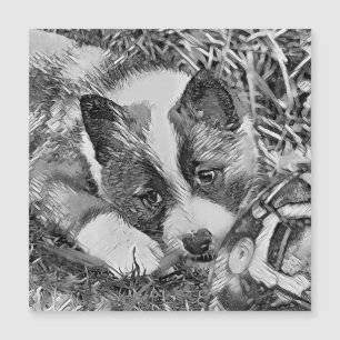 AnimalArtBW_Cachorro_012