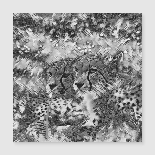 AnimalArtBW_Cheetah_003 (Frente)