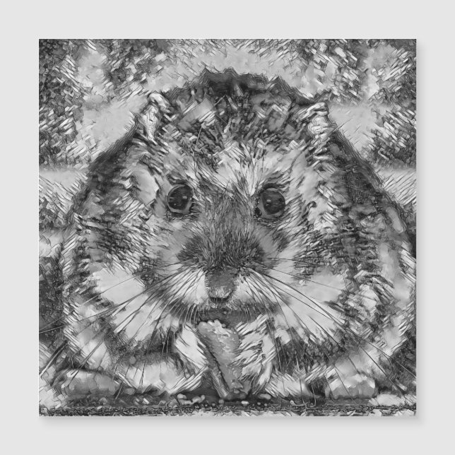 AnimalArtBW_Hamster_001 (Frente)