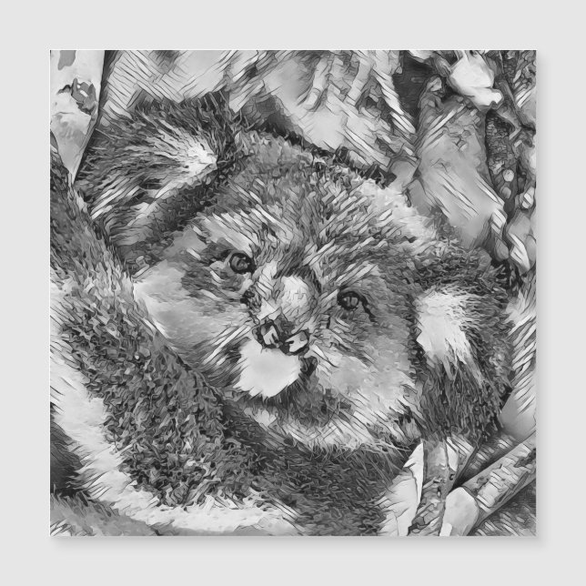 AnimalArtBW_Koala_001 (Frente)
