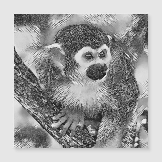 AnimalArtBW_Mackey_002 (Frente)