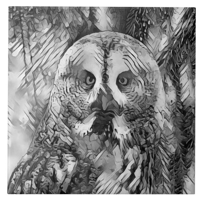 AnimalArtBW_Owl_001 (Frente)
