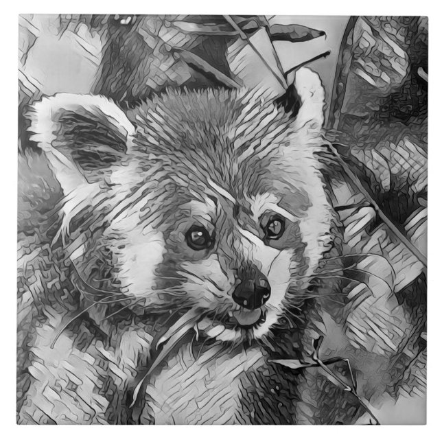 AnimalArtBW_RedPanda_003 (Frente)