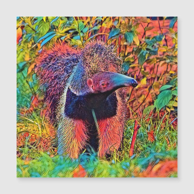 AnimalColor_Anteater_001 (Frente)