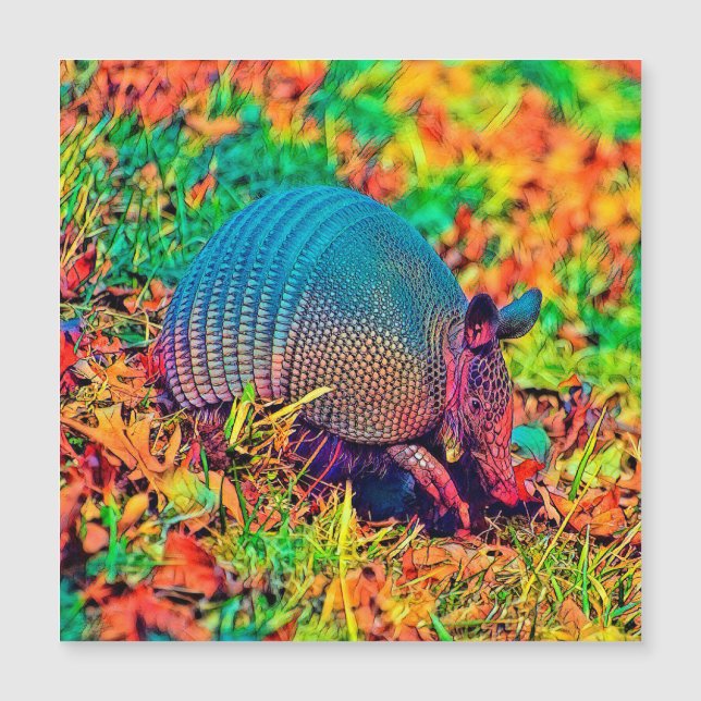 AnimalColor_Armadillo_001 (Frente)