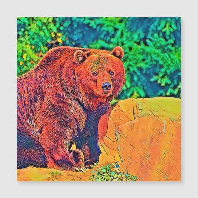 AnimalColor_Bear_001 (Frente)