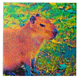 AnimalColor_Capybara_010