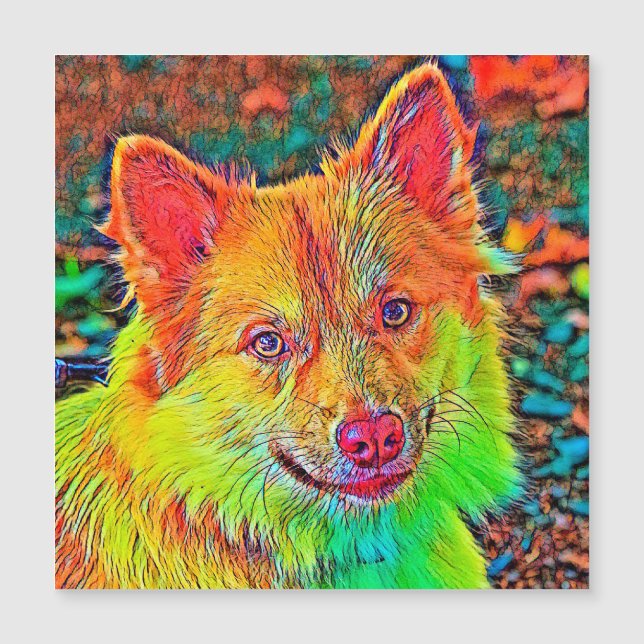AnimalColor_Dog_020 (Frente)