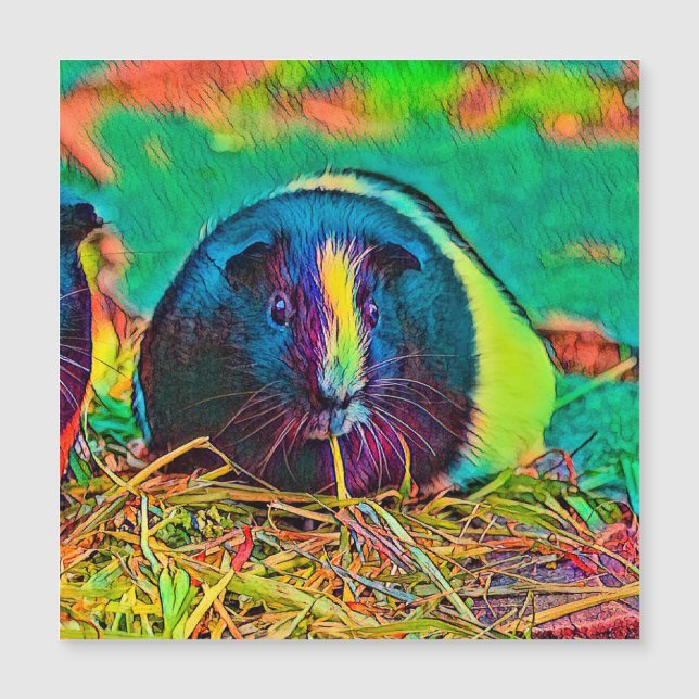 AnimalColor_Guineapig_002 (Frente)