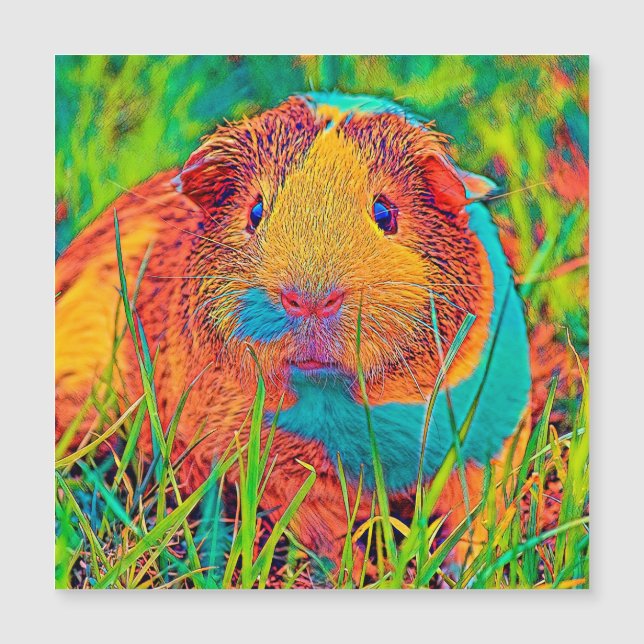 AnimalColor_Guineapig_017 (Frente)