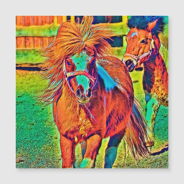 AnimalColor_Horse_001 (Frente)