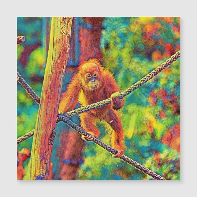 AnimalColor_OrangUtan_014 (Frente)