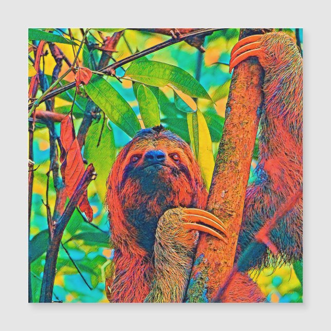 AnimalColor_Sloth_003 (Frente)