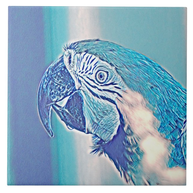 AnimalMix_Bird_009 (Frente)