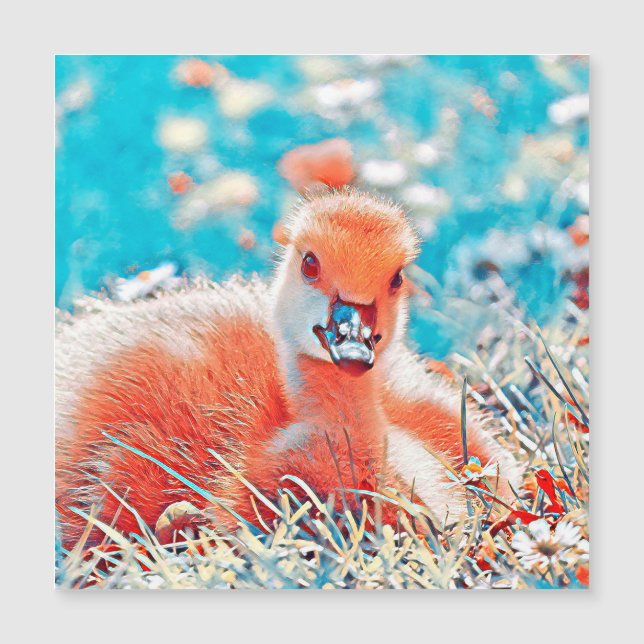 AnimalMix_Bird_019 (Frente)