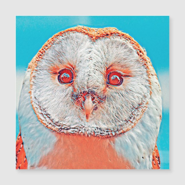 AnimalMix_Bird_023 (Frente)