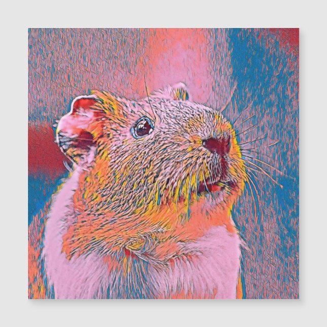 AnimalMix_Guineapig_001 (Frente)